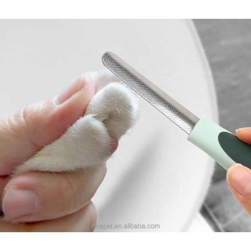 Pet Cleaning Tools Set Manufacturer - 8pcs Grooming Kit