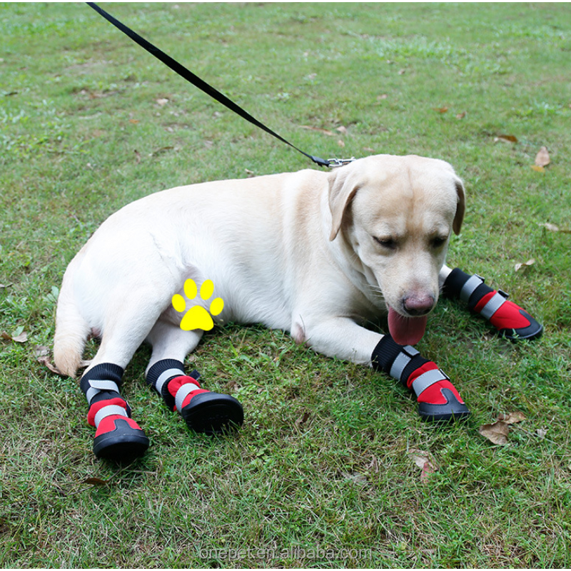 Dog Boots Manufacturer - Reflective Neoprene Shoes