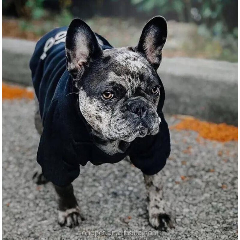 Dog Hoodie Manufacturer - Brand Simple Design