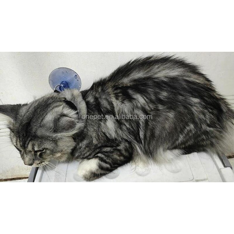 Pet Bathing Fixture Manufacturer - Wall Suction Cup Tool