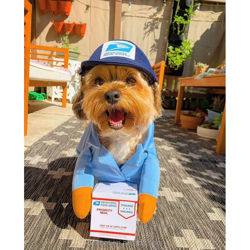 Pet Costume Manufacturer - Halloween Dog Outfit