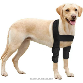 Dog Leg Protector Manufacturer - Knee Pad Bandage