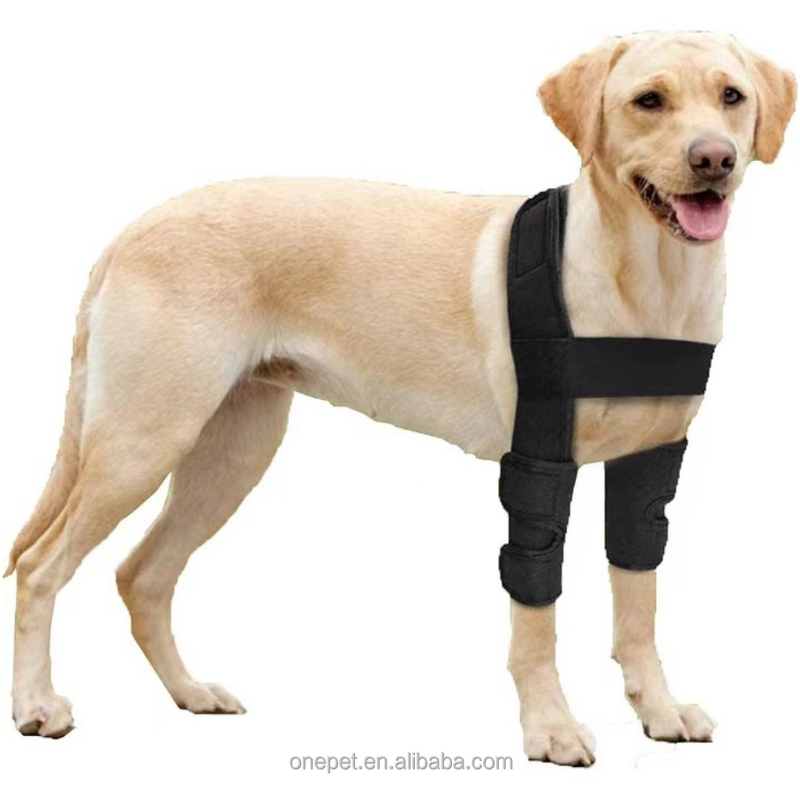 Dog Leg Protector Manufacturer - Knee Pad Bandage