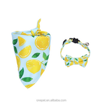 Pet Bandanas & Bibs