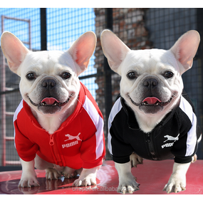 Pet Sweatshirt Manufacturer - Solid Blank Zipper