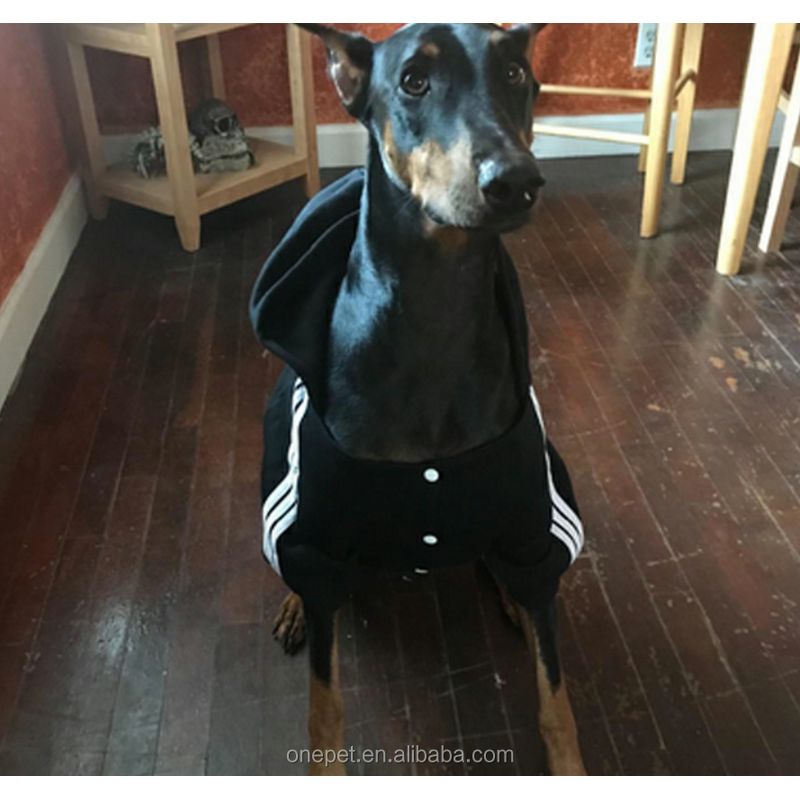 Dog Hoodie Manufacturer - Golden Retriever Clothes