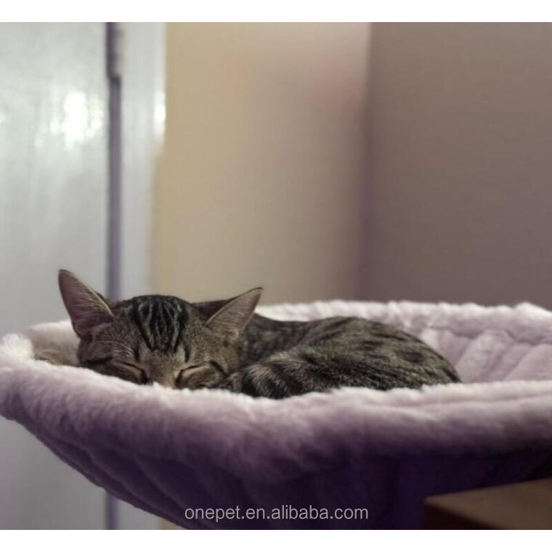 Cat Bed Manufacturer - Office Desk Hammock Bed