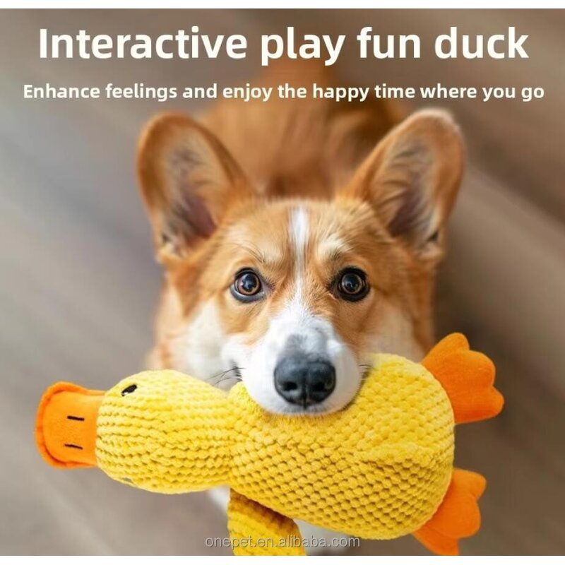Dog Chew Toy Manufacturer - Squeaky Duck Plush Toy