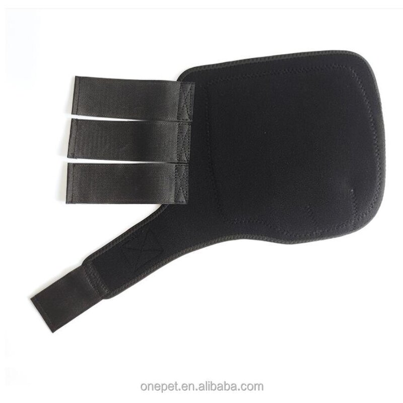 Horse Leggings Manufacturer - Protective Leg Cover Supplier