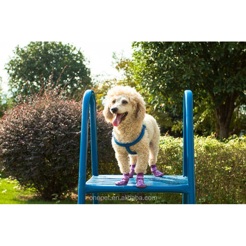 Dog Paw Protector Manufacturer - Anti-Slip Rubber Shoes
