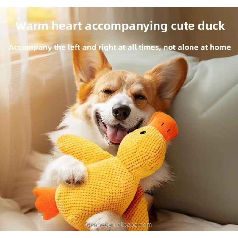 Dog Chew Toy Manufacturer - Squeaky Duck Plush Toy