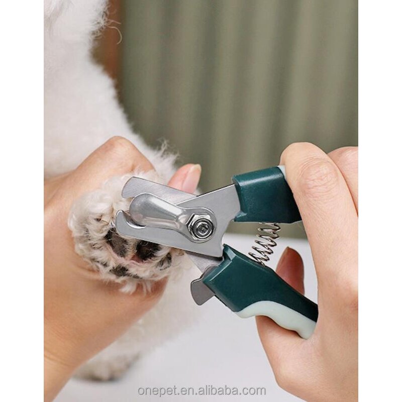 Pet Cleaning Tools Set Manufacturer - 8pcs Grooming Kit