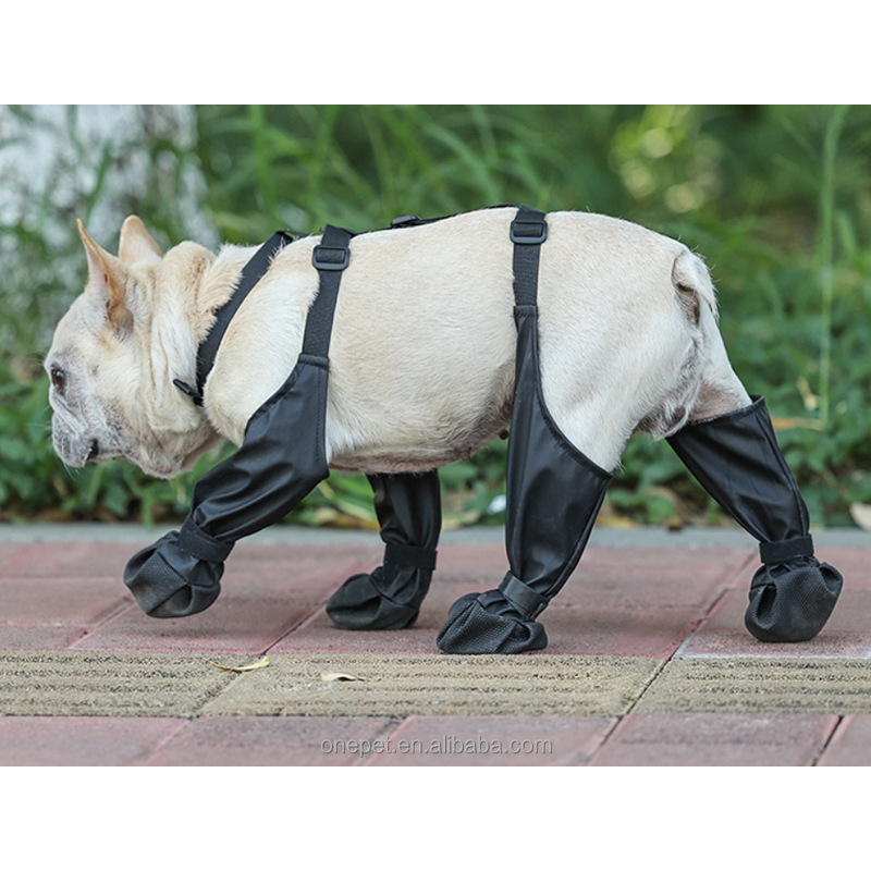 Pet Dog Paw Protection Manufacturer - Outdoor Legging Pants