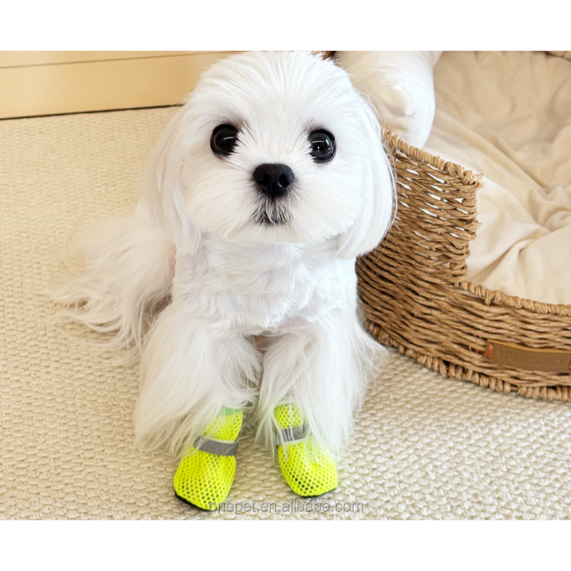 Pet Shoes Manufacturer - Breathable Mesh Dog Shoes