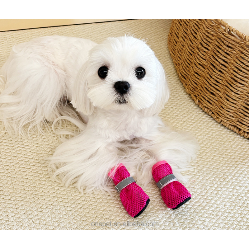 Pet Shoes Manufacturer - Breathable Mesh Dog Shoes