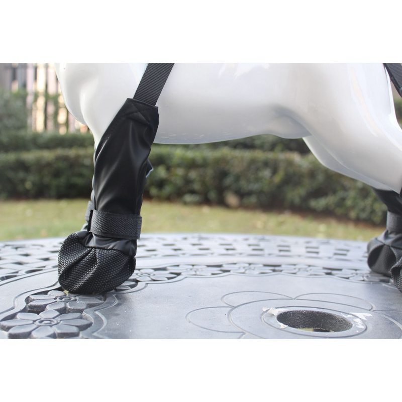 Pet Dog Paw Protection Manufacturer - Outdoor Legging Pants