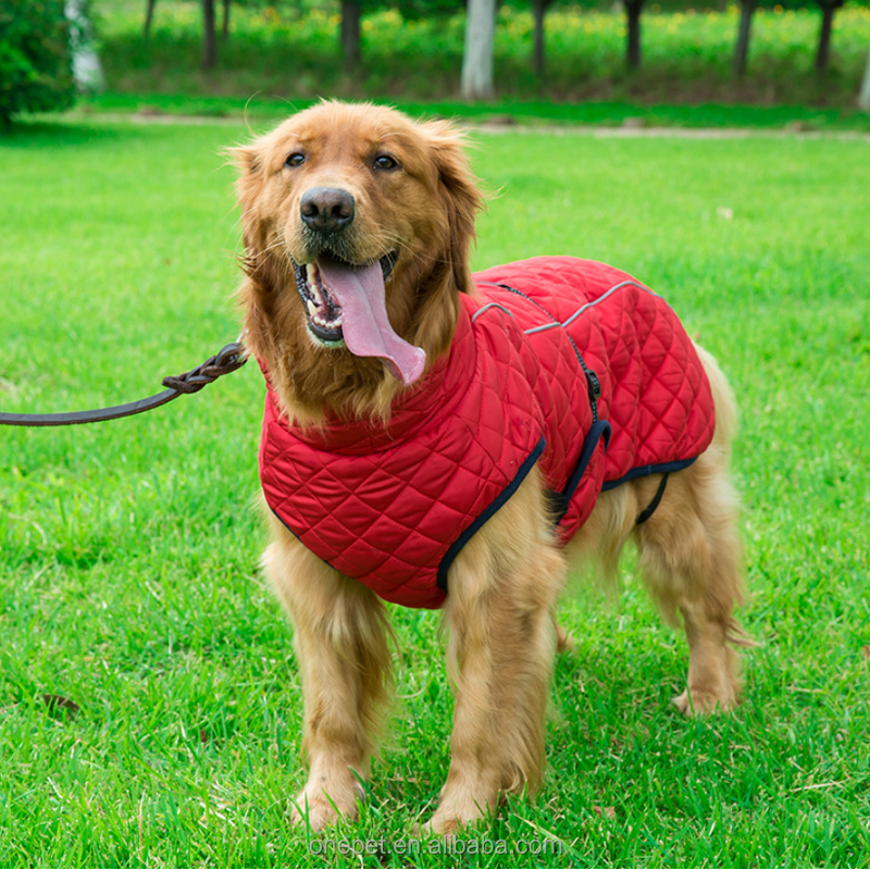 Dog Jacket Manufacturer - Cold Weather Padded Coat