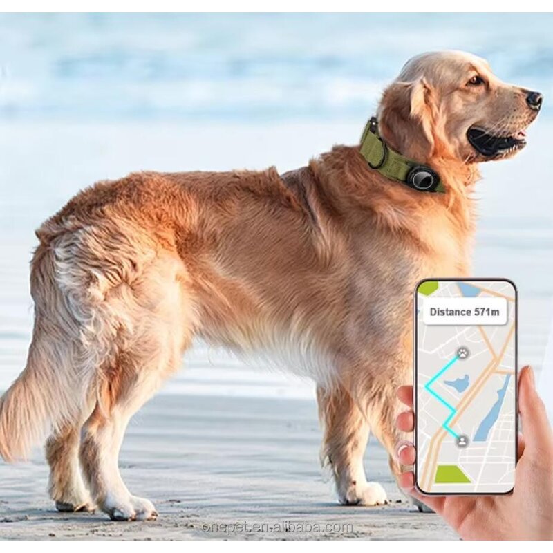 Smart GPS Dog Collar Manufacturer - AirTag Tracking