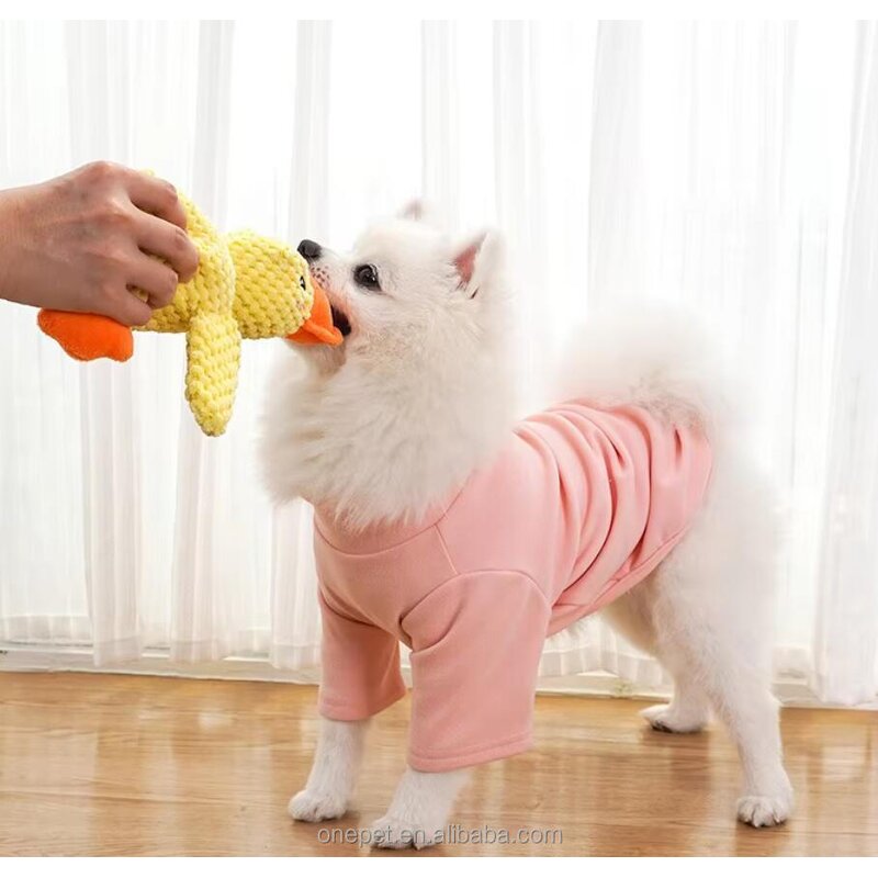 Dog Chew Toy Manufacturer - Squeaky Duck Plush Toy