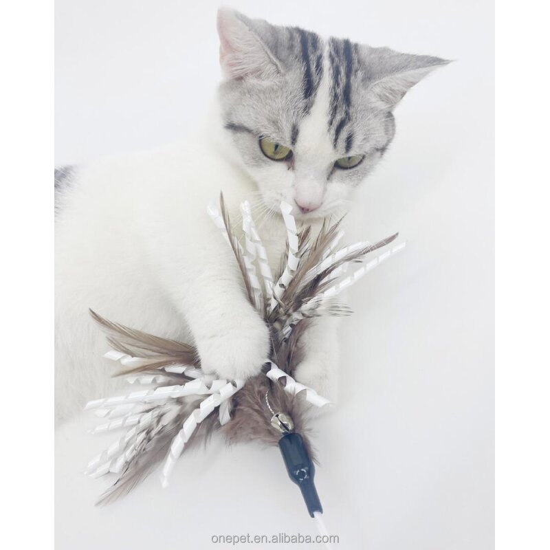 Pet Toy Manufacturer - Feather Teaser Stick Supplier