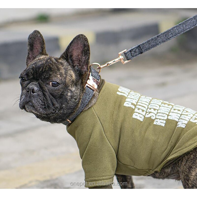 Dog Collar Set Manufacturer - Nylon Twill Leash Set