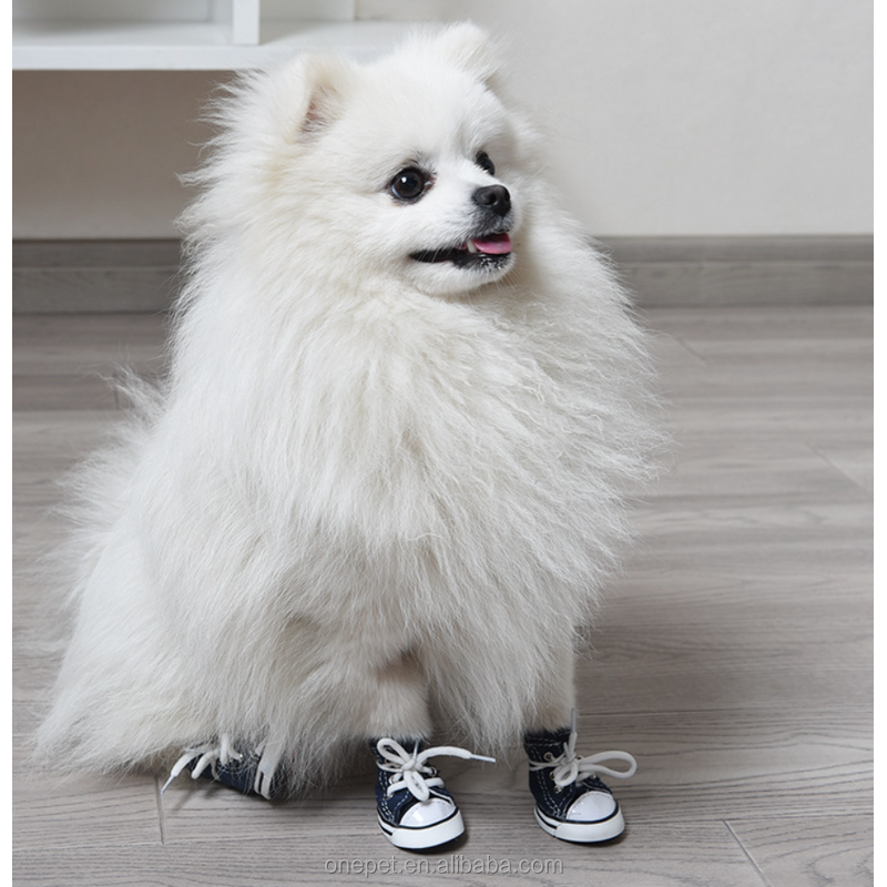 Pet Shoes Manufacturer - Non Slip Denim Canvas Shoes