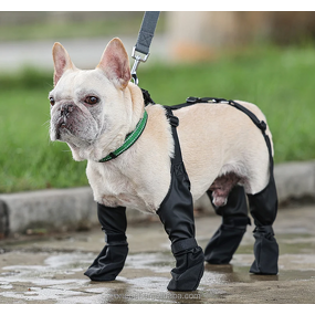 Pet Dog Paw Protection Manufacturer - Outdoor Legging Pants
