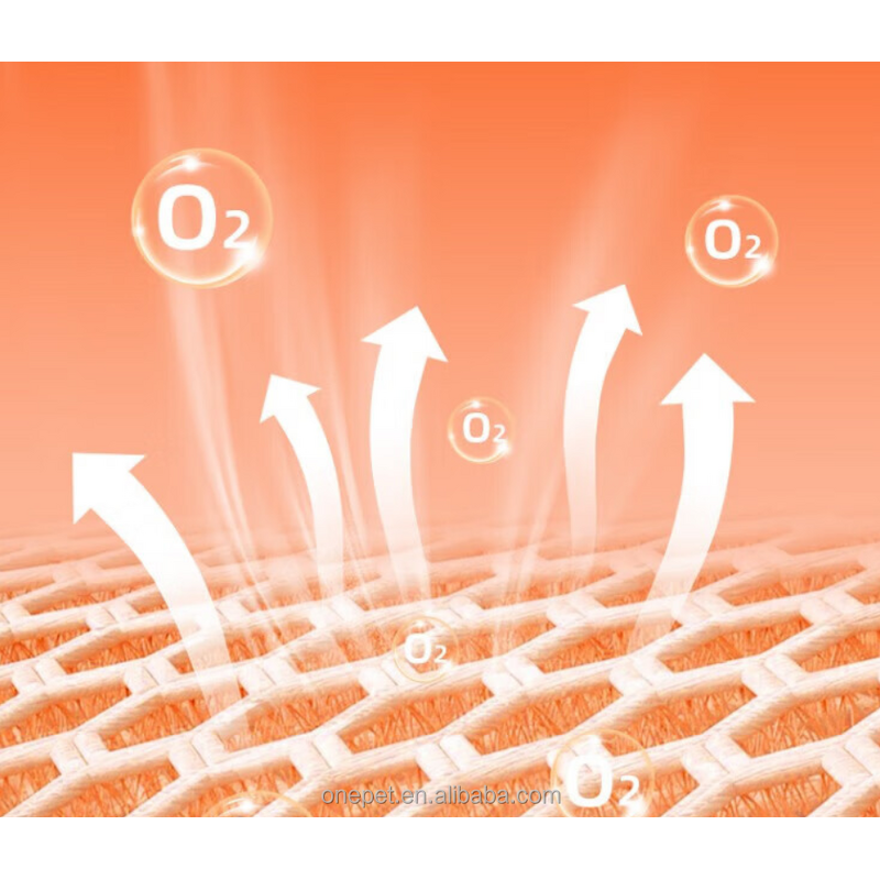 Pet Shoes Manufacturer - Breathable Mesh Dog Shoes