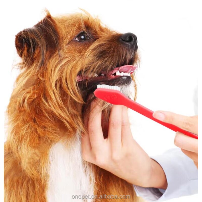 Dog Teeth Brush Manufacturer - Silica Gel Dental Hygiene Tool