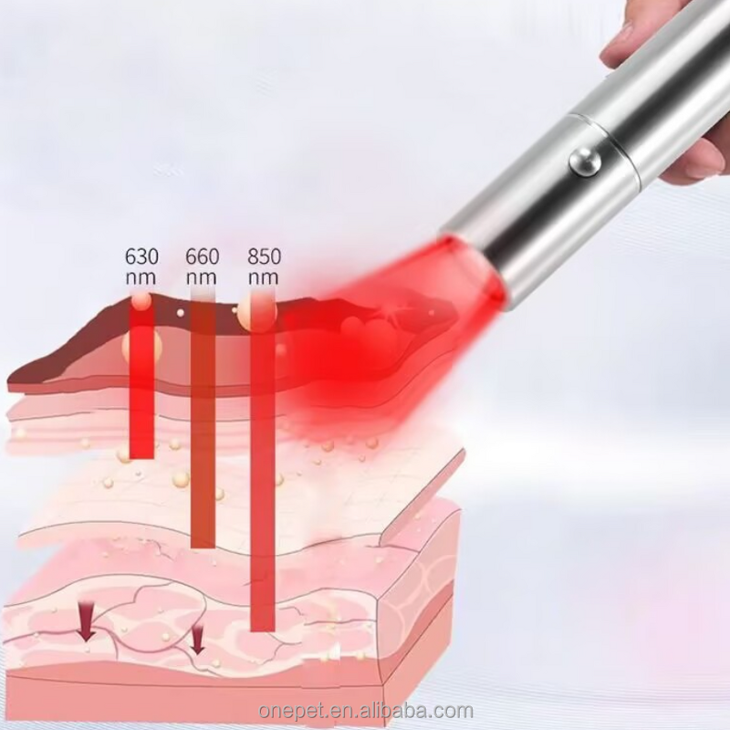 Red Light Therapy Lamp Manufacturer - Horse Care Equipment