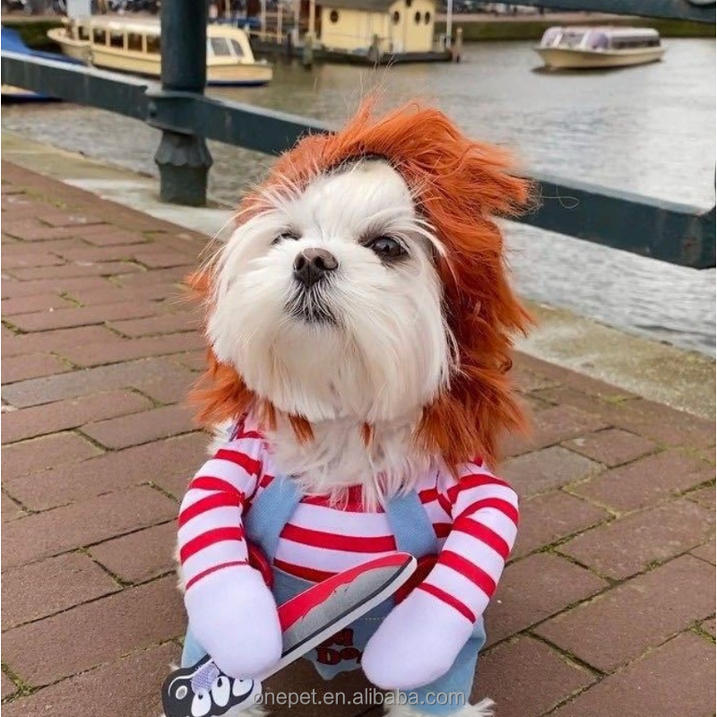 Pet Costume Manufacturer - Halloween Dog Outfit