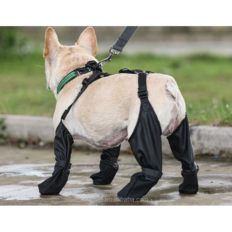 Pet Dog Paw Protection Manufacturer - Outdoor Legging Pants