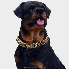 Dog Collar Manufacturer - Stainless Steel Chain Collar