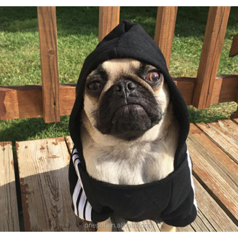 Dog Hoodie Manufacturer - Golden Retriever Clothes