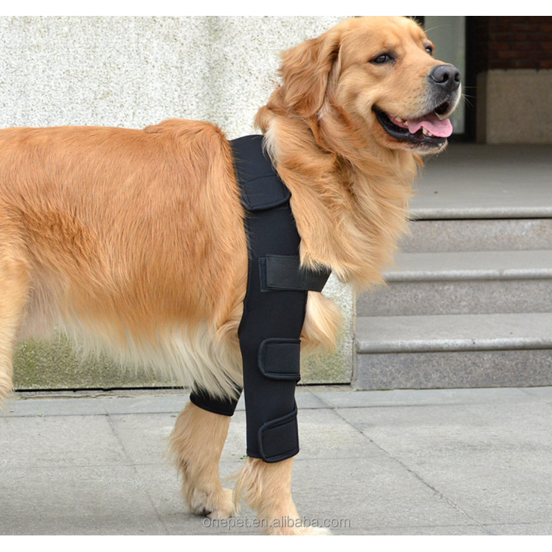 Dog Leg Protector Manufacturer - Knee Pad Bandage