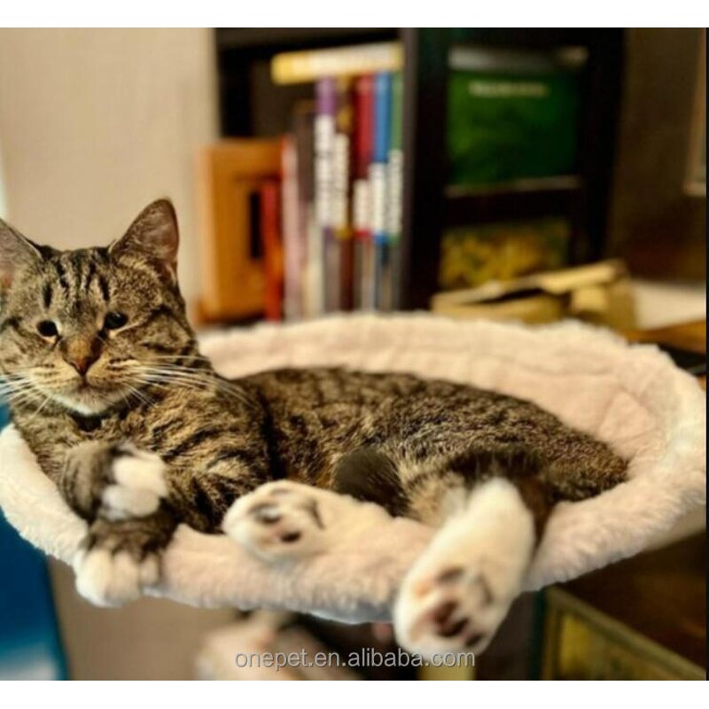 Cat Bed Manufacturer - Office Desk Hammock Bed
