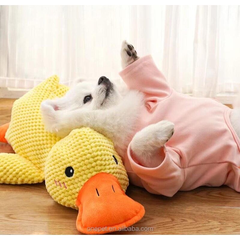 Dog Chew Toy Manufacturer - Squeaky Duck Plush Toy