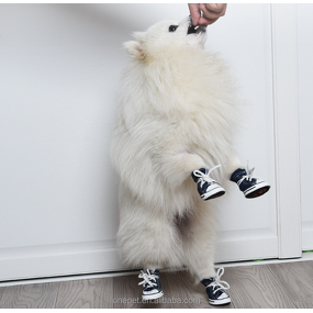 Pet Shoes Manufacturer - Non Slip Denim Canvas Shoes