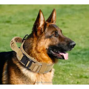 Dog Collar Manufacturer - Tactical Reflective Nylon