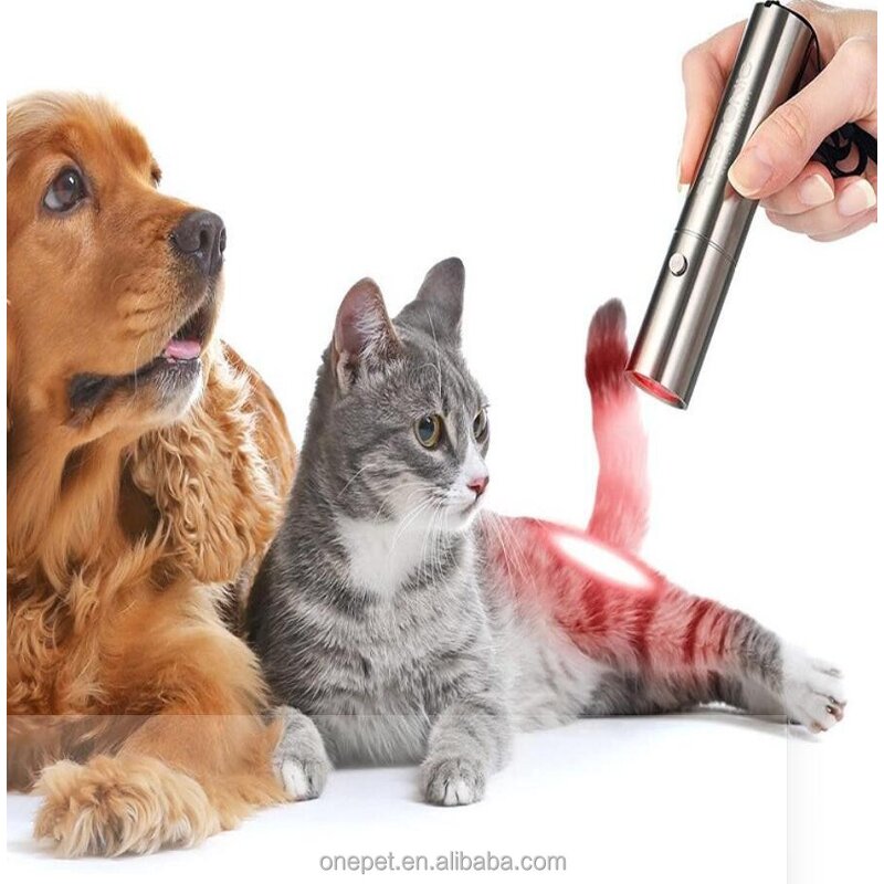 Red Light Therapy Lamp Manufacturer - Horse Care Equipment