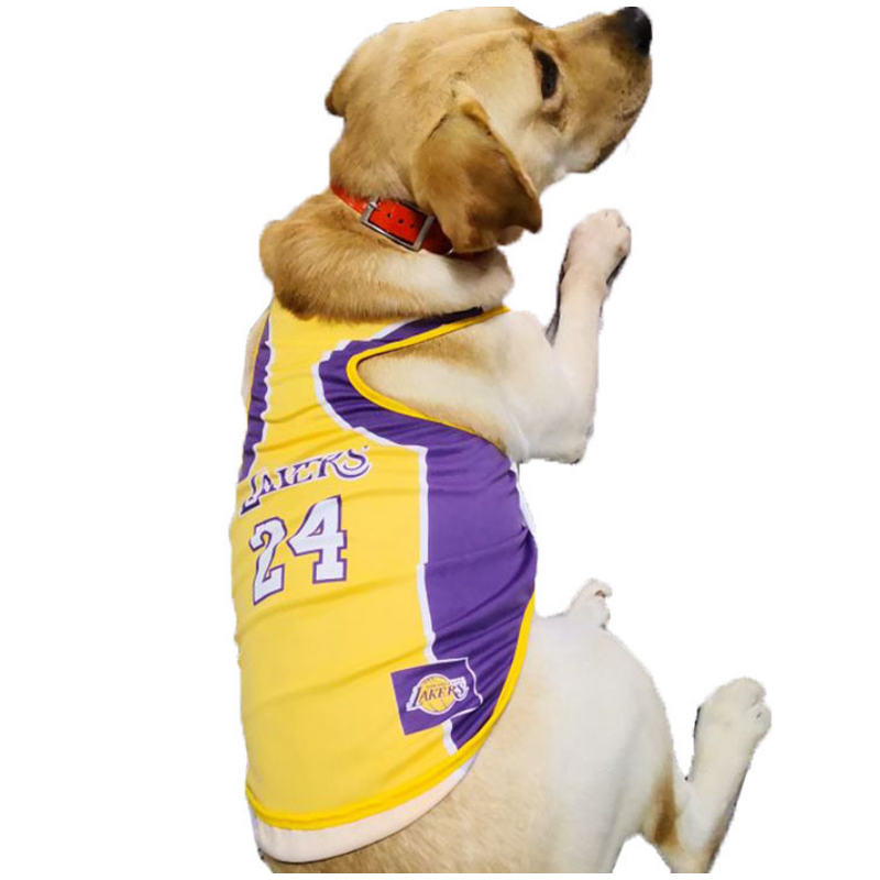 Pet T Shirt Manufacturer - Summer Cooling Vest