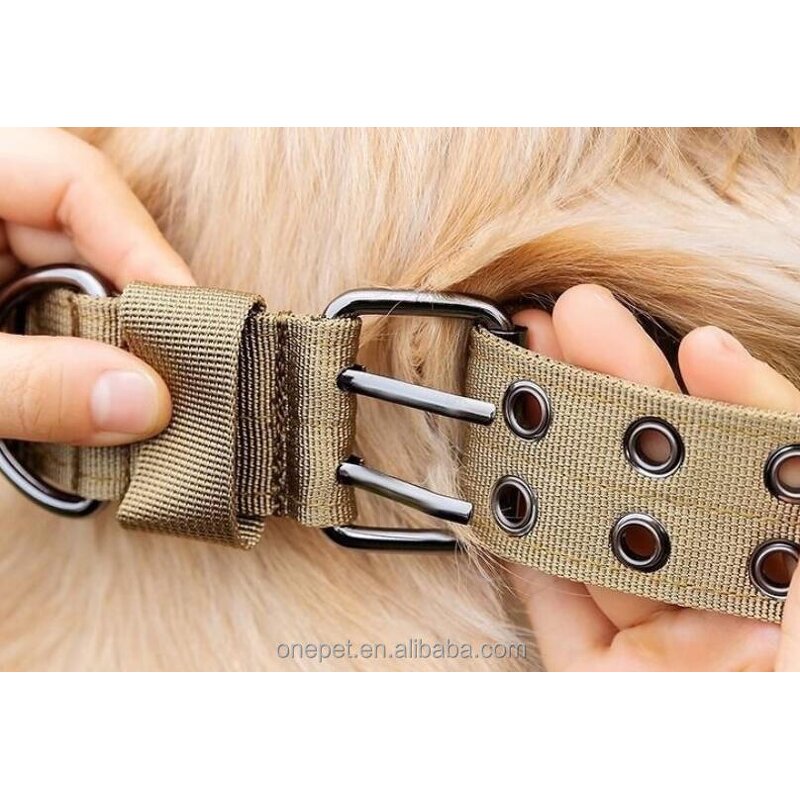 Dog Training Collar Manufacturer - Tactical Nylon Set