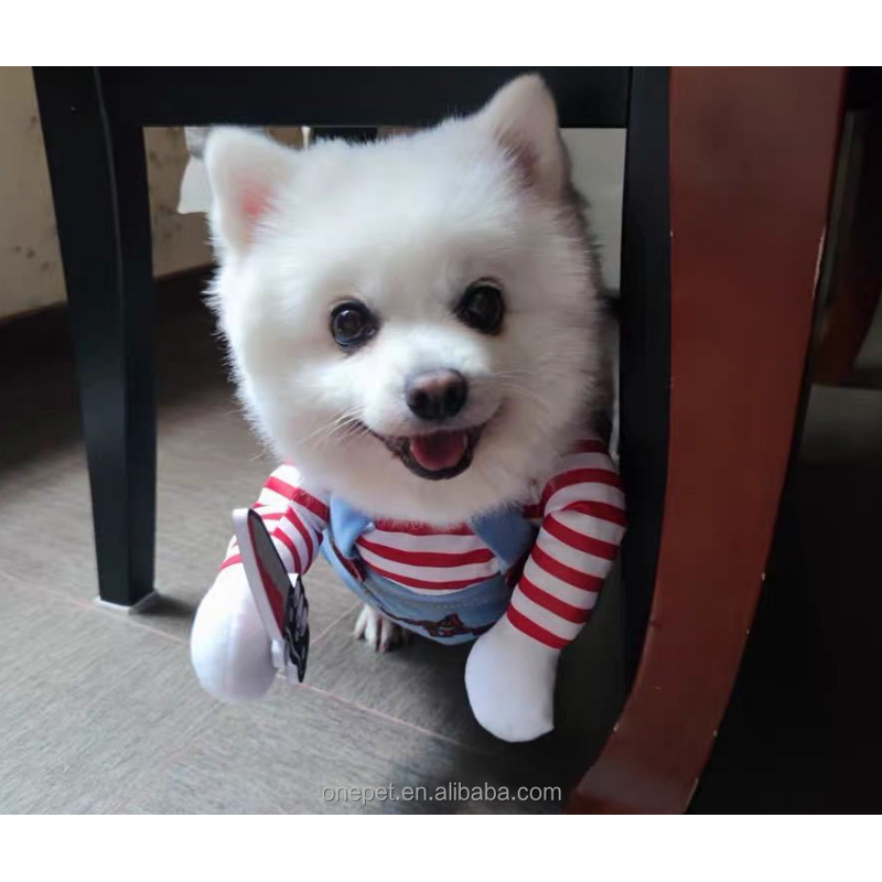 Pet Costume Manufacturer - Halloween Dog Outfit