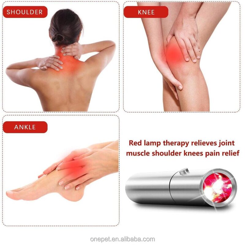 Red Light Therapy Lamp Manufacturer - Horse Care Equipment