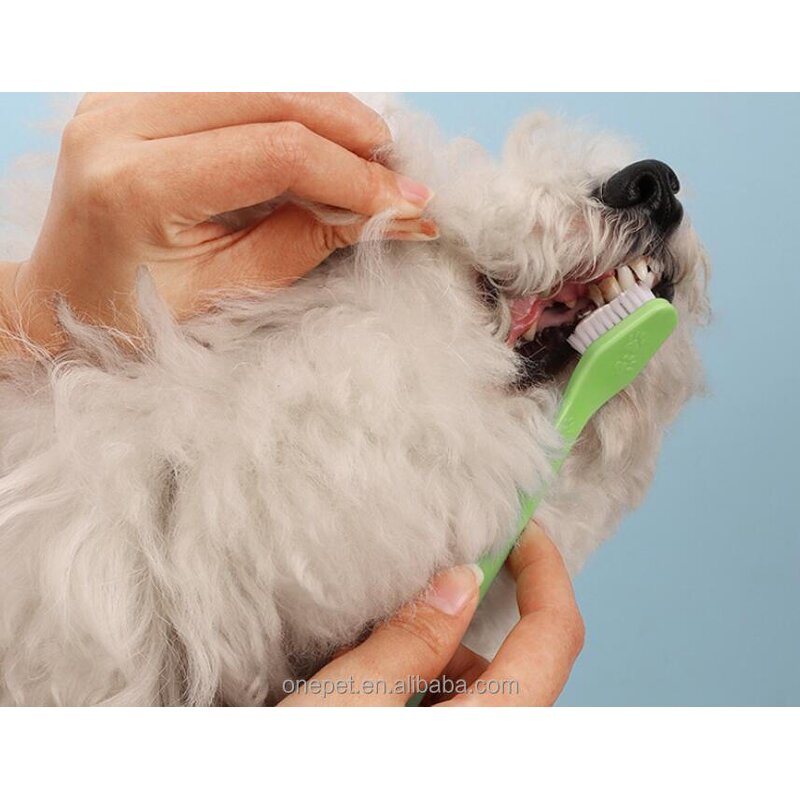 Dog Teeth Brush Manufacturer - Silica Gel Dental Hygiene Tool