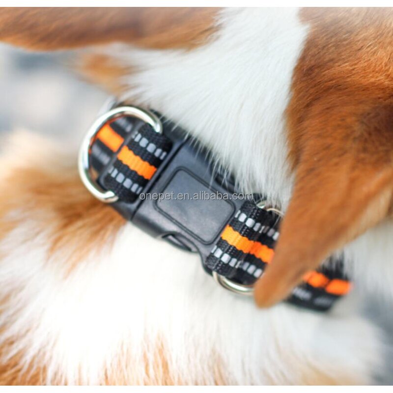Dog Collar Manufacturer - Reflective Quick Release