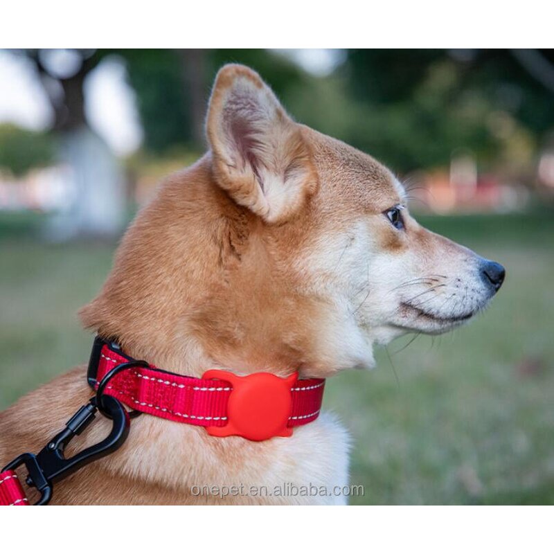 Anti-Lost Dog Collar Manufacturer - GPS Tracking Collar