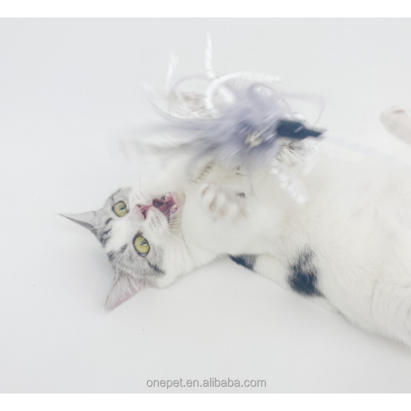 Pet Toy Manufacturer - Feather Teaser Stick Supplier