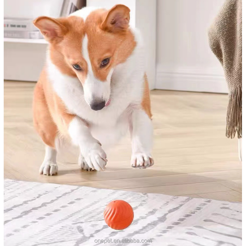 Cat Hunter Toy Manufacturer - USB Rolling Ball Set