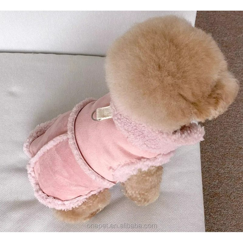 Dog Jacket Manufacturer - Winter Fashionable Coat